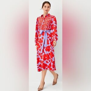 NWT Ann Taylor Dress (Petite)